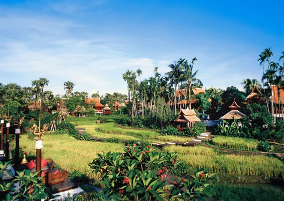 Mandarin Oriental Dhara Dhevi, рисовые террасы Mandarin Oriental Dhara Dhevi, рисовые террасы